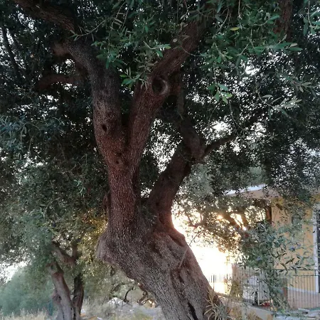 Taverna Catena Lägenhet *